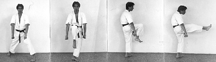 front snap kick