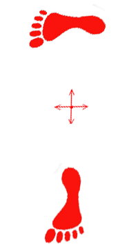 tee stance, taiji dachi